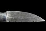 Damascus Knife With Fossil Dinosaur Bone (Gembone) Inlays #86542-4